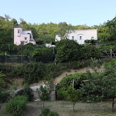 Pietra Rosa Bed & Breakfast Tramonti Exterior photo