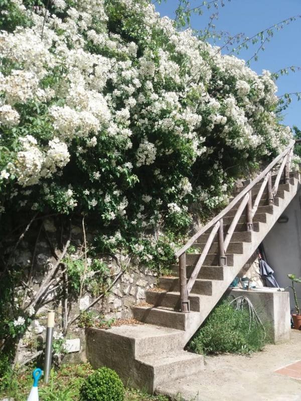 Pietra Rosa Bed & Breakfast Tramonti Exterior photo