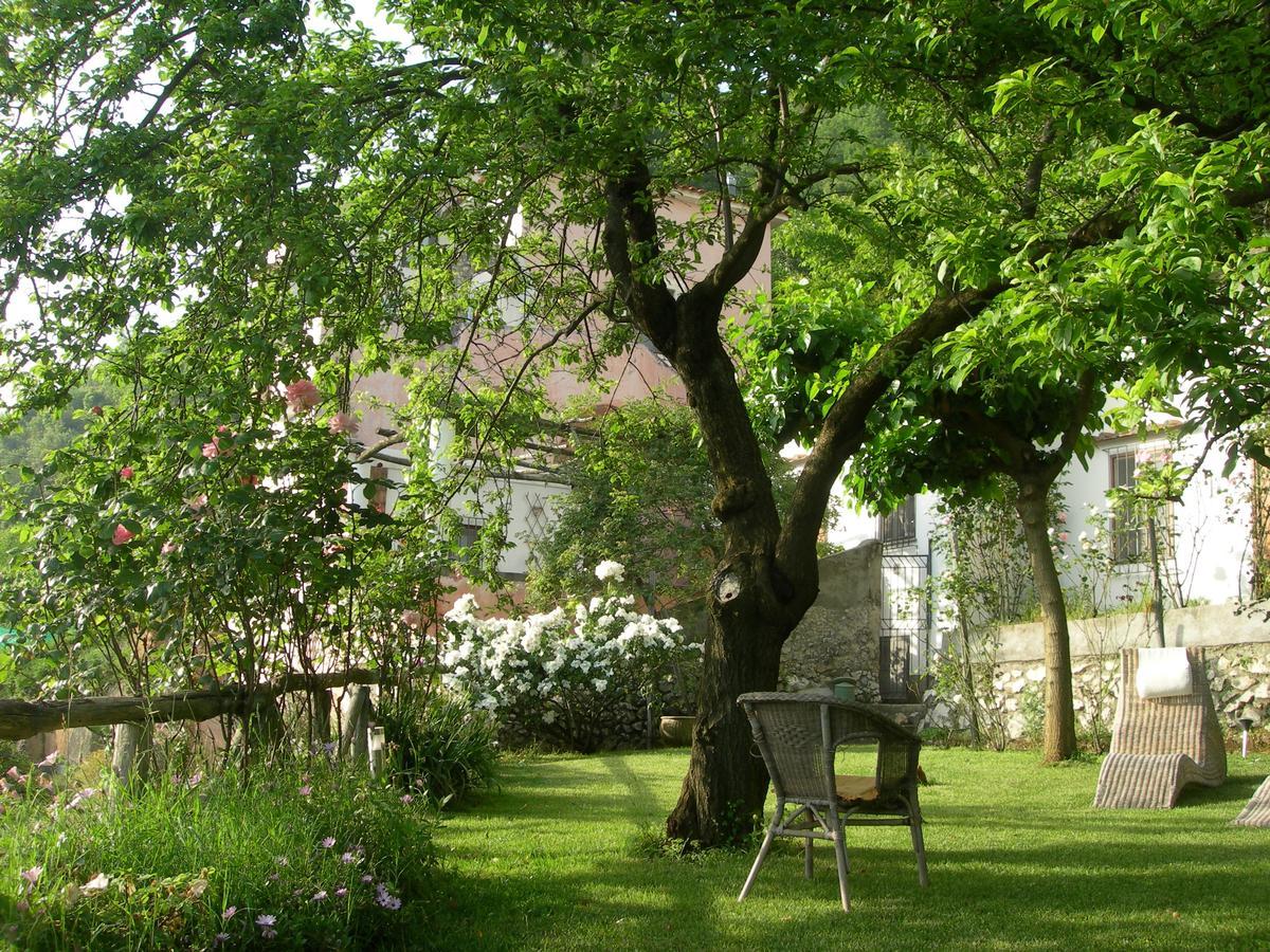 Pietra Rosa Bed & Breakfast Tramonti Exterior photo